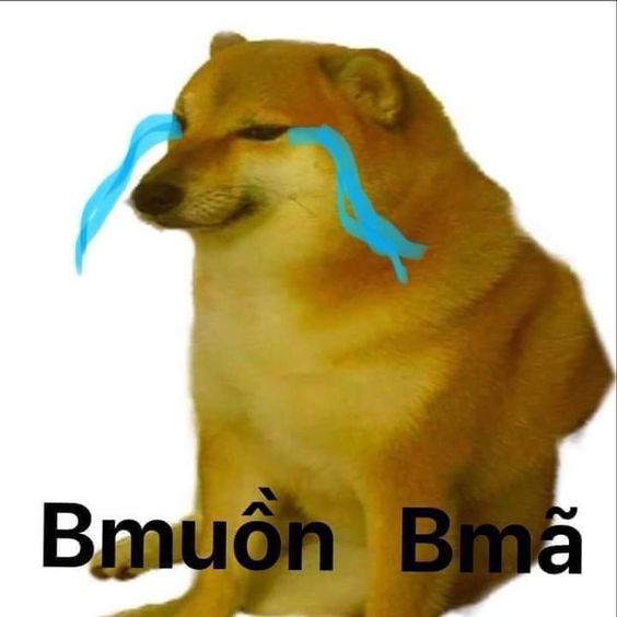 Meme cheems buồn khóc rơi nước mắt Bmuồn Bmã