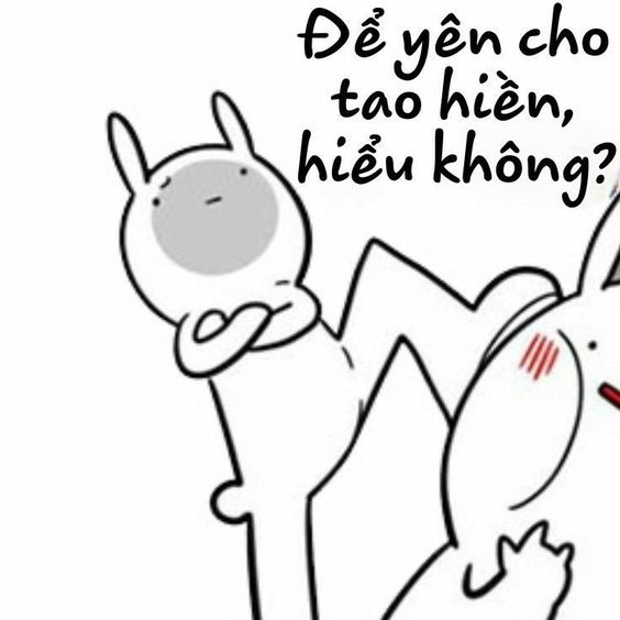 Meme mày để yên cho tao hiền! hiểu không?