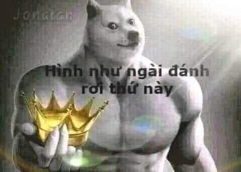 Cheems cơ bắp cầm vương miện “Hình như ngài đánh rơi thứ này”