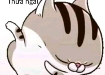 Mèo cúi đầu chào kính nể “Thưa ngài”