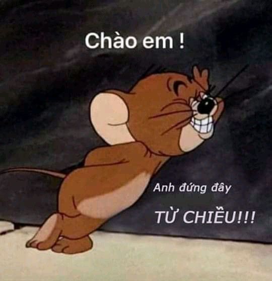 Chuột Jerry cười nham nhở “Chào em! Anh đứng đây từ chiều”
