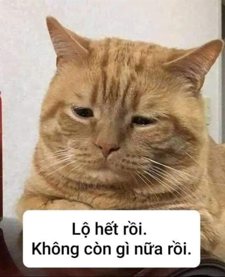 Meme Rau Den Meme Buồn, tâm trạng, chán nản nhẹ – TVMeme